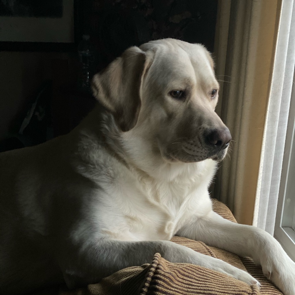 Meet your Posher, Natalie